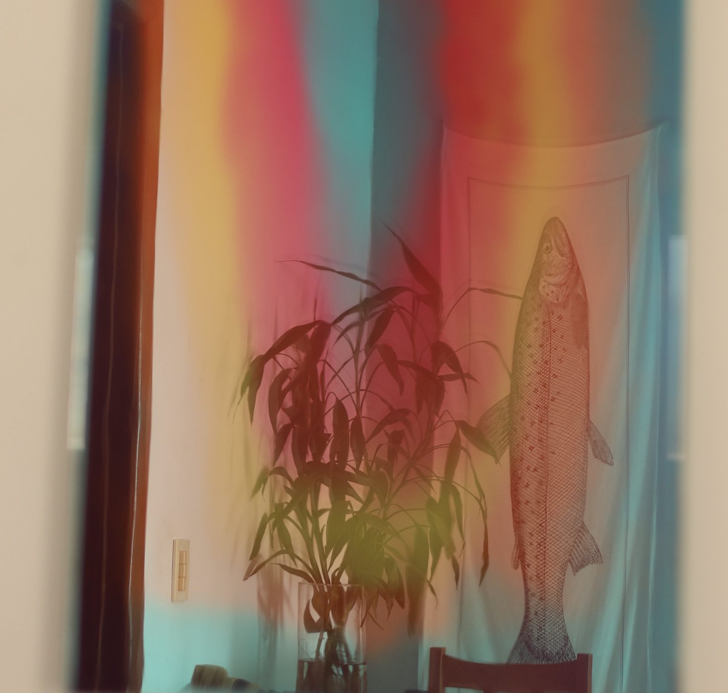 Espelho em verde-água, vermelho e amarelo refletindo uma planta e uma figura de peixe.